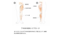 &MEDICAL&nbsp;KAMOLEG&nbsp;2.0&nbsp;【オリーブ／LLサイズ】