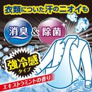 アイスノン&nbsp;シャツミスト&nbsp;エキストラミントの香り&nbsp;本体詰替えセット