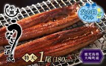 【父の日】鹿児島県産うなぎ　特大蒲焼き1尾　180g以上