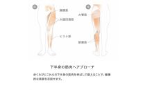 &MEDICAL&nbsp;KAMOLEG&nbsp;2.0&nbsp;【オフホワイト／LLサイズ】