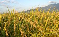 定期便【令和8年産新米予約】精米5kg×12回&nbsp;南魚沼産コシヒカリ【令和8年9月下旬から1ヶ月以内に順次発送予定】＜12ヶ月定期便＞農家直送_AG