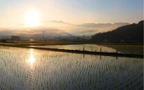 定期便【令和8年産新米予約】精米5kg×12回&nbsp;南魚沼産コシヒカリ【令和8年9月下旬から1ヶ月以内に順次発送予定】＜12ヶ月定期便＞農家直送_AG