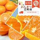 【定期便・指定月（1・2・3・4月）全4回】紀州和歌山産 旬の柑橘 セット (みかん・不知火・せとか・清見) ［UT137w］