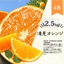 【定期便・指定月（1・2・3・4月）全4回】紀州和歌山産 旬の柑橘 セット (みかん・不知火・せとか・清見) ［UT137］