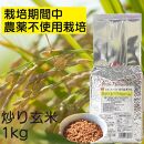 炒り玄米1kg　栽培期間中農薬不使用　静岡市葵区産