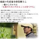 静岡茶&nbsp;東頭100g&nbsp;1本入り&nbsp;とうべっとう