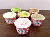 AMASOU Artigianale Gelato Box12【特製ジェラート100ml×12個】