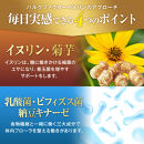 ハルクファクター&nbsp;イヌリン&nbsp;水溶性&nbsp;食物繊維&nbsp;300粒&nbsp;サプリメント&nbsp;菊芋&nbsp;ナットウキナーゼ&nbsp;サラシア&nbsp;ビフィズス菌&nbsp;乳酸菌&nbsp;&nbsp;配合◇