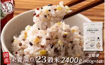 【3ヶ月定期便】栄養満点23穀米&nbsp;(400g×2袋)【合計2400g&nbsp;全6袋】