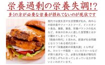 栄養満点23穀米 9kg(450g×20袋)