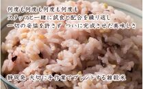 栄養満点23穀米 9kg(450g×20袋)
