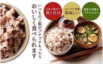 【3ヶ月定期便】明日への輝き39穀米ブレンド(450g×2袋)【合計2700g 全6袋】