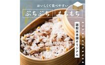【3か月定期便】国産 グルテンフリー雑穀(450g×2袋)【合計2700g 全6袋】