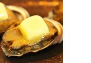 あわび 旨煮＆あわび 蒸し セット（旨煮：約100g×1粒 ・蒸し：約50g×3粒）【配送不可：北海道・沖縄・離島】◆