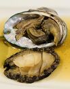 M旨煮 あわび 2個入り【配送不可：北海道・沖縄・離島】◆