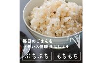 【3ヶ月定期便】健康重視ヘルシーブレンド (450g×2袋)【合計2700g 全6袋】