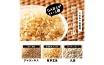 【3ヶ月定期便】健康重視ヘルシーブレンド (450g×2袋)【合計2700g 全6袋】
