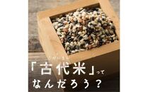 国産古代米4&nbsp;種ブレンド&nbsp;2.4kg(400g×6袋)