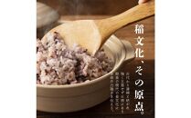 国産古代米4&nbsp;種ブレンド&nbsp;24kg(400g×60袋)