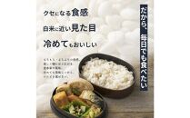 【3ヶ月定期便】国産麦5種ブレンド&nbsp;(400g×2袋)【合計2400g&nbsp;全6袋】