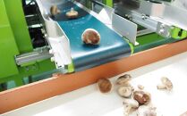 【JAみなみ魚沼定期便】家庭用「八色しいたけ」（1.5kg×全9回）&nbsp;訳あり&nbsp;不ぞろい&nbsp;農家応援&nbsp;厚いにもほどがある