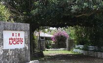 白蝶貝を素材にした「かんざし」貝工房かざはな【KS-８】