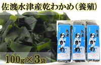 佐渡水津産乾燥わかめ（養殖)100g×3袋セット
