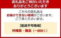 ライオン「NANOXoneニオイ専用」つめかえ用超特大6袋