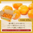 ［先行予約］［2026年11月初旬から11月末頃順次発送］&nbsp;和歌山県産温州みかん&nbsp;約5kg（40個～60個）秀品&nbsp;こだわり農家厳選！［KG31］
