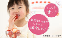 まりひめ&nbsp;2パック【2025年4～5月発送分】