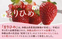 まりひめ&nbsp;4パック【2025年4～5月発送分】