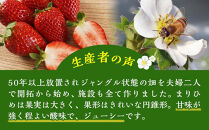 まりひめ&nbsp;4パック【2025年4～5月発送分】