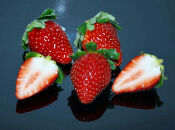 まりひめ&nbsp;4パック【2025年4～5月発送分】