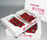 まりひめ&nbsp;4パック【2025年4～5月発送分】