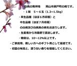 ふるさと納税&nbsp;岡山市&nbsp;桃&nbsp;5~6個&nbsp;瀬戸町&nbsp;万と美桃園　
