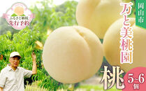 ふるさと納税&nbsp;岡山市&nbsp;桃&nbsp;5~6個&nbsp;瀬戸町&nbsp;万と美桃園　