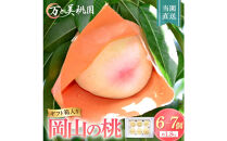 岡山市&nbsp;桃&nbsp;6-7個（約1.8kg）　万と美桃園