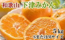 【産直・秀品】和歌山下津みかん約5kg(SサイズまたはMサイズのいずれかをお届け) ★2025年11月中旬頃より順次発送【TM73】