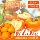 【ご家庭用】平核無柿（ひらたねなしがき）約７.５kg 和歌山秋の味覚【2025年発送】【UT32】