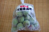 【数量限定】梅ジュースに最適！紀州特産　冷凍大粒南高梅　3kg