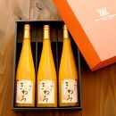 きわみ みかんジュース 500ml × 3本 入り ギフトセット【mao6】
