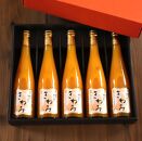 きわみ みかんジュース 500ml × 5本 入り ギフトセット【mao7】