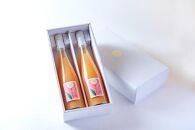 あら川の桃 60％ 果汁入り ドリンク 500ml × 2本 入り ギフトセット【mao12】