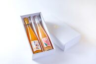 きわみ みかんジュース ／ あら川の桃 ドリンク 500ml 合計 2本 入り アソートセット【mao15】