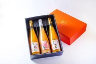 きわみ みかんジュース 2本 ／ あら川の桃 ドリンク 1本 500ml 合計 3本 入り アソートセット【mao16】