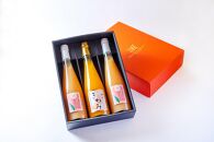 きわみ みかんジュース 1本 ／ あら川の桃 ドリンク 2本 500ml 合計 3本 入り アソートセット【mao17】