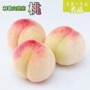 和歌山県産 桃 3玉～4玉 約1kg 秀品 2025年7月上旬から2025年8月下旬発送予定 【US54】