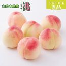 和歌山県産 桃 5玉～8玉 約2kg 秀品 2025年7月上旬から2025年8月下旬発送予定 【US36】