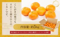 ［先行予約］［2026年11月初旬から11月末頃順次発送］&nbsp;和歌山県産温州みかん&nbsp;約5kg（40個～60個）秀品&nbsp;こだわり農家厳選！［KG31］