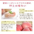 フルーツ王国 和歌山 の 桃 約2kg（fr-06）_ 先行予約 2025年6月中旬から7月下旬発送【MS107】